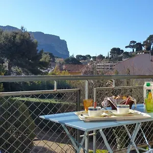 Le Mimosa Apartment